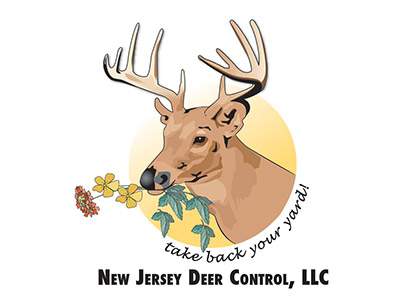 New Jersey Deer Control